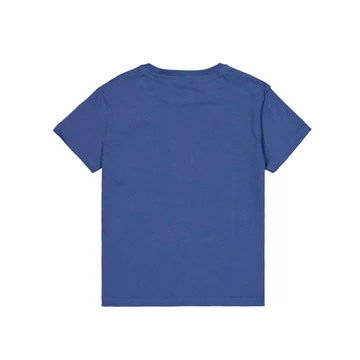 crystal-t-woman-night-purple