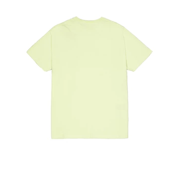 metal-plate-t-arctic lime