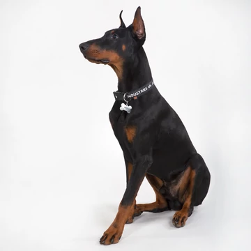 ai-dog-tag-collaer-black-grey.jpg