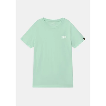 basic-t-small-logo-mint.jpg