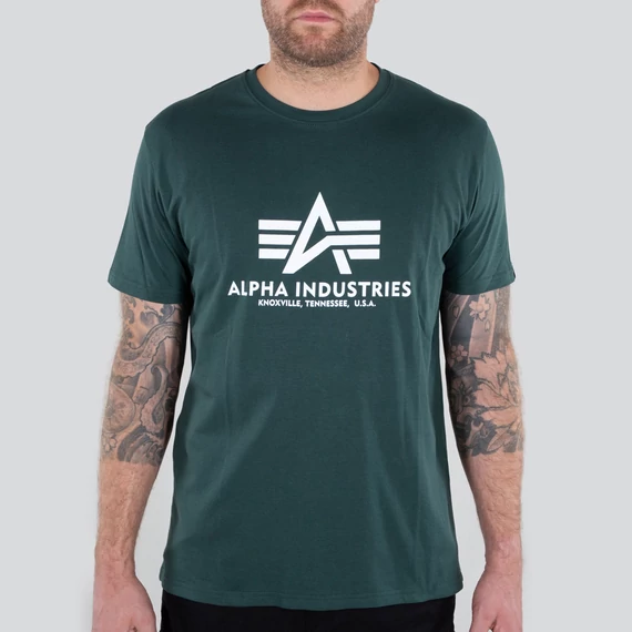 basic-t-navy-green.jpg
