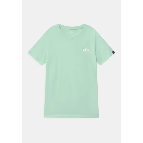 basic-t-small-logo-mint.jpg