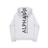 back-print-hoodie-pastel-grey-melange