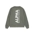 back-print-sweatshirt-dark-olive