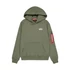 signature-bp-hoodie-sage-green