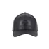 pu-logo-cap-black