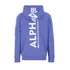 back-print-hoody-electric-violet-alpha.png