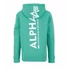 back-print-hoody-tomic-green-alpha.png
