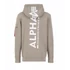 back-print-hoody-vintage-sand-alpha.png