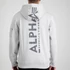 back-print-hoody-pastel-grey.jpg
