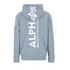 back-print-hoody-greyblue.png