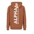 back-print-hoody-hazel-brown.png