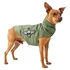 Dog MA-1 Nylon Flight Jacket - sage green